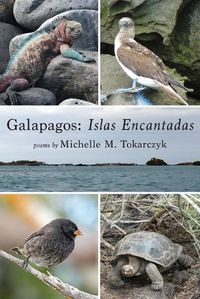 Cover image for Galapagos