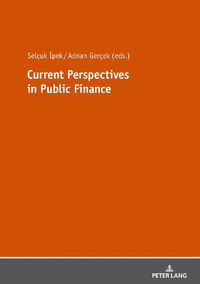 Cover image for Current Perspectives in Public Finance