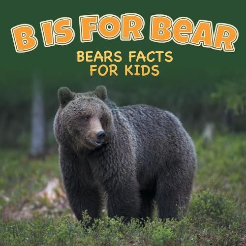 Cover image for B is for Bear: Bears Facts For Kids