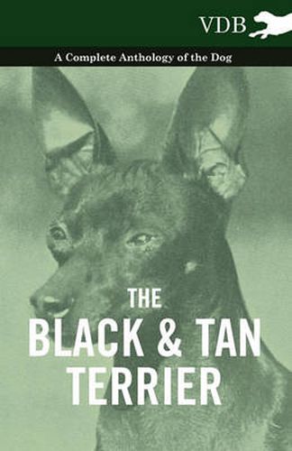 Cover image for The Black And Tan Terrier - A Complete Anthology of the Dog -