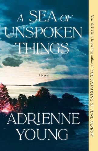 Cover image for A Sea of Unspoken Things