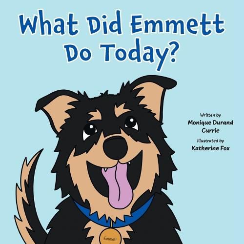 Cover image for What Did Emmett Do Today?