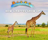 Cover image for How Giraffes Grow Up