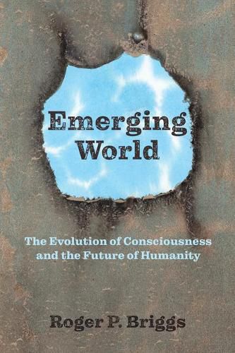 Cover image for Emerging World: The Evolution of Consciousness and the Future of Humanity