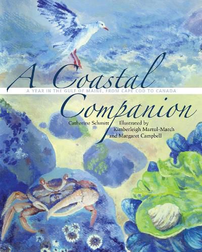 Cover image for A Coastal Companion