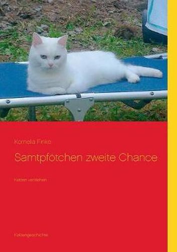 Cover image for Samtpfoetchen zweite Chance: Katzen verstehen