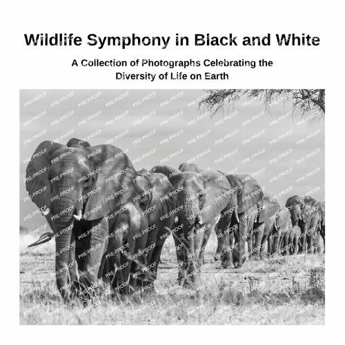 Wildlife Symphony in Black and White