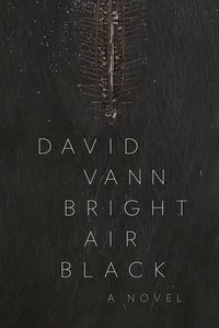 Cover image for Bright Air Black