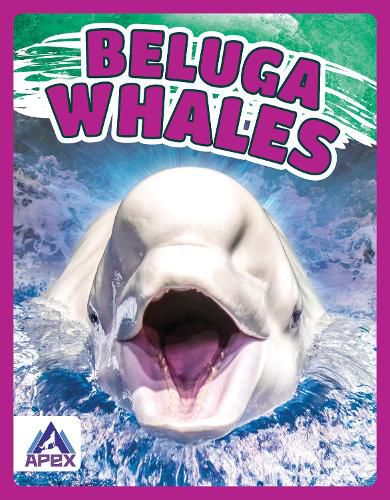 Cover image for Giants of the Sea: Beluga Whales