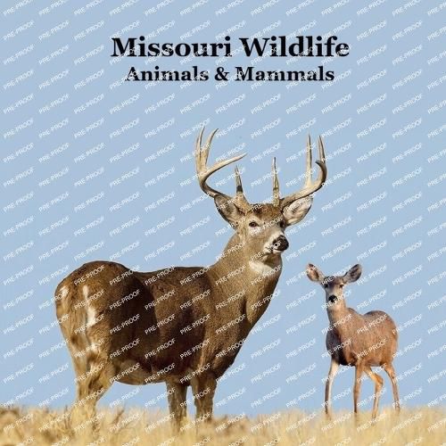 Cover image for Missouri Animals and Mammals Kids Wildlife Book