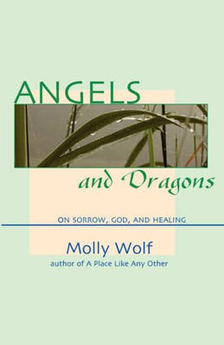 Cover image for Angels and Dragons