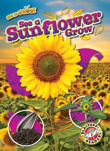 Cover image for See a Sunflower Grow