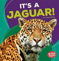 Cover image for Its a Jaguar