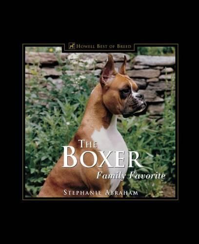 Cover image for The Boxer: Family Favorite