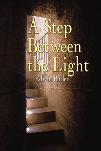 Cover image for A Step Between the Light