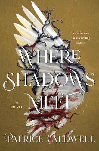 Cover image for Where Shadows Meet