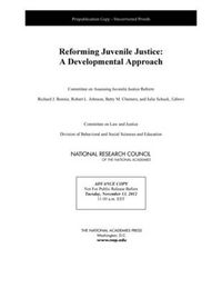 Cover image for Reforming Juvenile Justice: A Developmental Approach