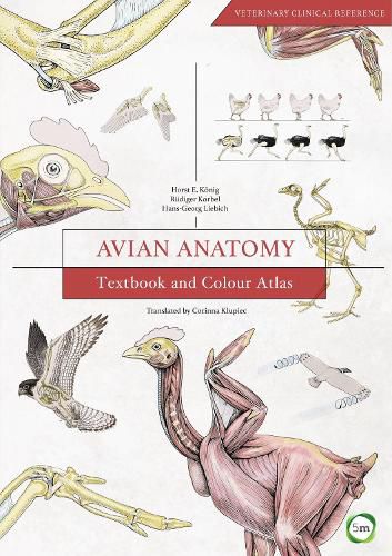 Avian Anatomy: Textbook and Colour Atlas