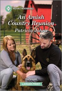 Cover image for An Amish Country Reunion