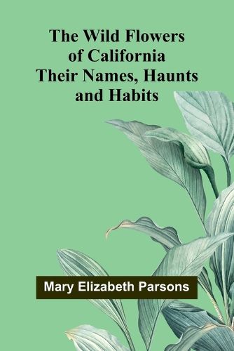 Cover image for Walter and the Wireless (Edition1)