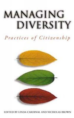 Cover image for Managing Diversity: Practices of Citizenship