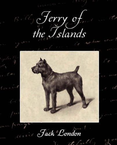 Cover image for Jerry of the Islands