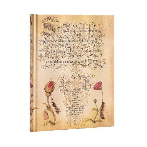 Cover image for Flemish Rose (Mira Botanica) Ultra Lined Hardcover Journal