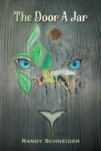 Cover image for The Door A Jar