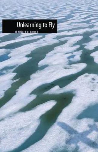 Cover image for Unlearning to Fly