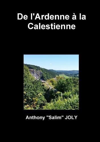 Cover image for De l'Ardenne a la Calestienne