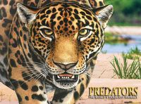 Cover image for Predators: The World's Deadliest Animals