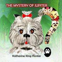 Cover image for The Mystery of Jupiter