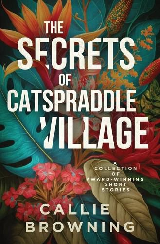 Cover image for The Secrets of Catspraddle Village