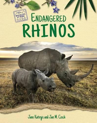 Cover image for Endangered Rhinos