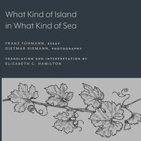 Cover image for What Kind of Island in What Kind of Sea?