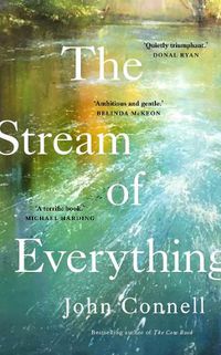 Cover image for The Stream of Everything