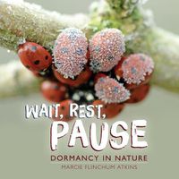 Cover image for Wait, Rest, Pause: Dormancy in Nature