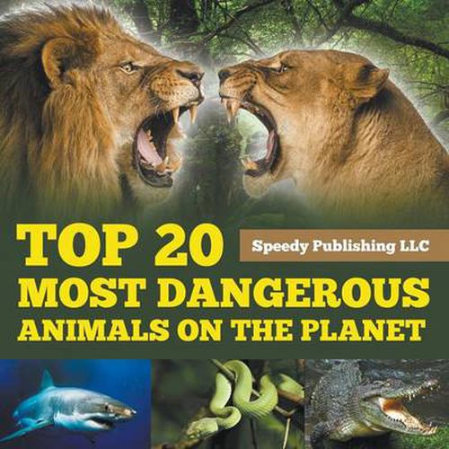 Cover image for Top 20 Most Dangerous Animals On The Planet