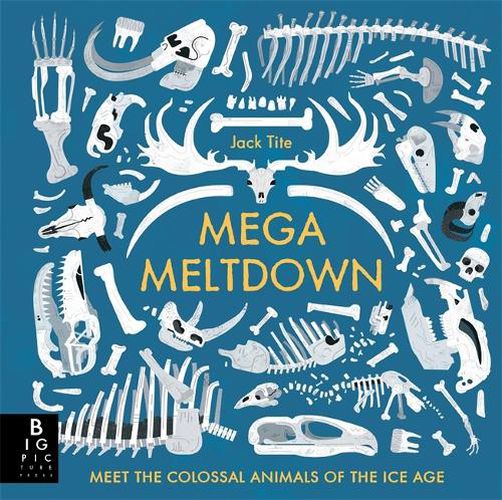 Cover image for Mega Meltdown