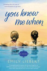 Cover image for You Knew Me When