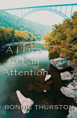 Cover image for Place to Pay Attention, A