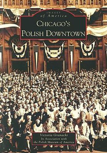 Cover image for Chicago's Polish Downtown