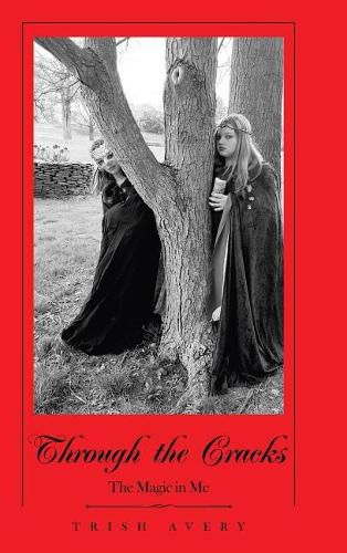 Cover image for Through the Cracks: The Magic in Me