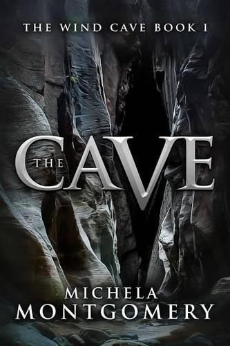 Cover image for Cave