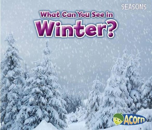Cover image for What Can You See in Winter? (Seasons)