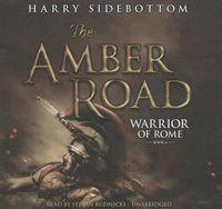 Cover image for The Amber Road