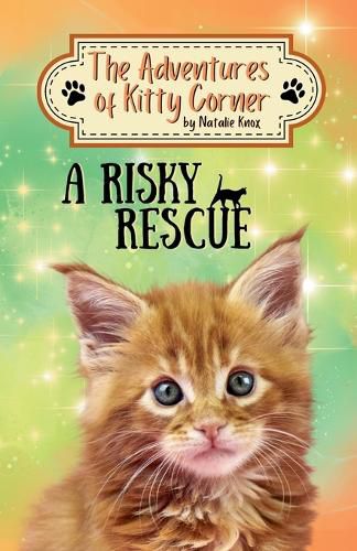 Cover image for A Risky Rescue