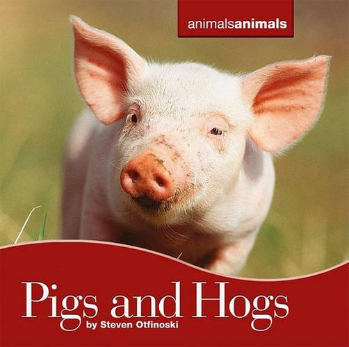 Cover image for Pigs and Hogs