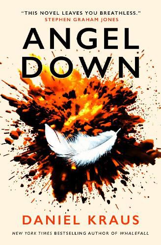 Cover image for Angel Down
