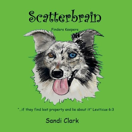 Cover image for Scatterbrain; Finders Keepers